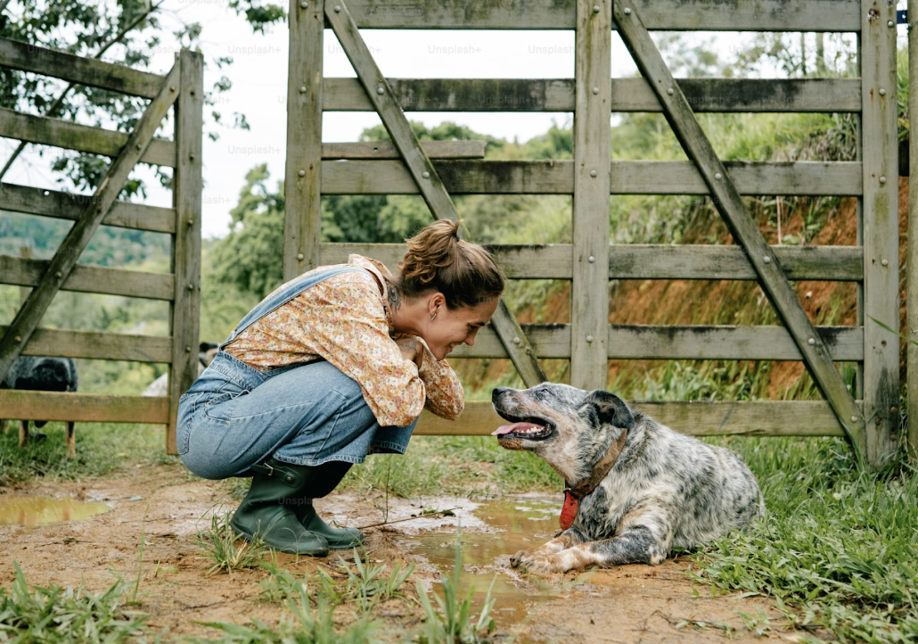 Pet owner looked at her dog with pure joy, picture by Fellipe Ditadi, Unsplash. 
